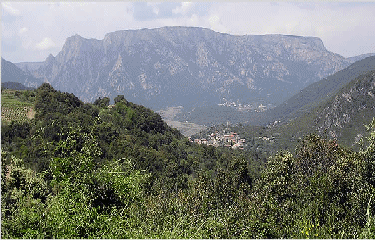 Village de Ceps-herault