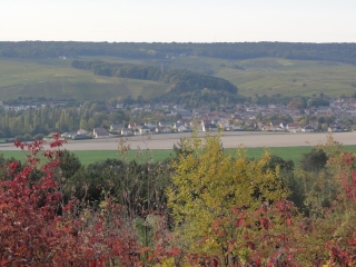 AVENAY-VAL-D OR-marne