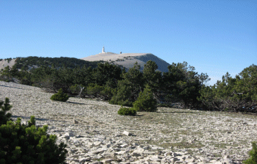 Le mont ventoux (2)-vaucluse