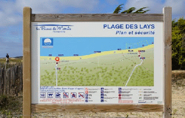 FROMENTINE - FORET ET PLAGE -vendee