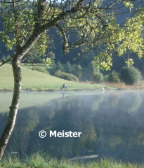 CHARIX - LA TOURBIèRE DU LAC GENIN-ain