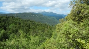 MARSA - CLOT DE LA DOURNE - QUIRBAJOU-aude