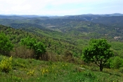 PALAIRAC - PLATEAU DU PRAT DE LABAT-aude