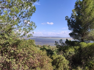 ENTRE ETANG ET GARRIGUE-aude