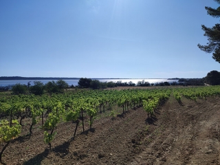 ENTRE ETANG ET GARRIGUE-aude