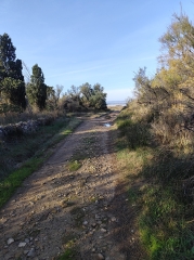 GRUISSAN ENTRE ETANGS ET GARRIGUES EN PASSANT PAR ST MARTIN-aude