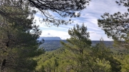 VENELLES - FORET DE PEYROLLES-bouches-du-rhone