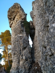 LES SENTIERS DE BARBENTANE.-bouches-du-rhone