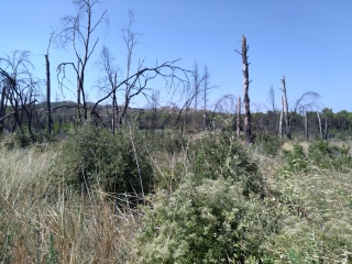 LA CROIX DES MONANDES-LA TOUR DE GUET DE LA MONTAGNETTE-bouches-du-rhone