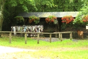 LIVAROT-PAYS D'AUGE - LA CROUPTE-calvados