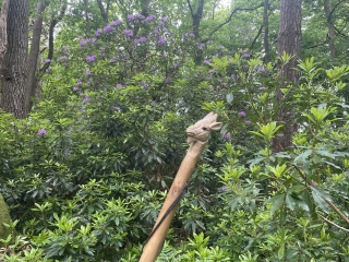 BOUCLE HONFLEUR-BOIS DU BREUIL-calvados