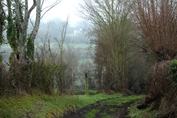 LE MANOIR DE QUERVILLE - PRêTREVILLE-calvados