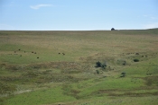 CANTAL - CHEYLADE - L ESTIVE DU LIMON-cantal