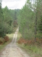 RANDO SAINT-AIGULIN 13.3 KM-charente-maritime