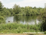 SAINT-QUENTIN – LE MARAIS DE L’ISLE-aisne