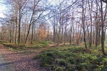 VILLERS-COTTERêTS – LA SALAMANDRE-aisne