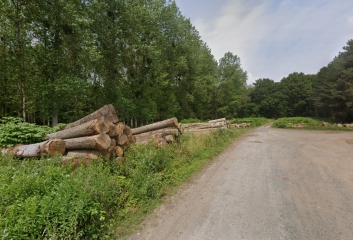 COUCY-LE-CHATEAU-AFFRIQUE – LE CANON DE COUCY-aisne