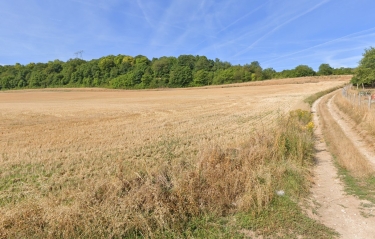 CONDE-EN-BRIE - AU BONHEUR DES BOIS ET DES PAPILLONS-aisne