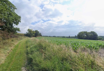 VERMAND - DES MARéCAGES AUX PORTES DE LA PLAINE.
