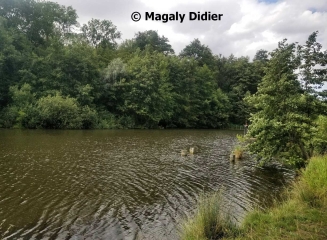 SAINT-GOBAIN – LE SENTIER DE L'éTANG-aisne