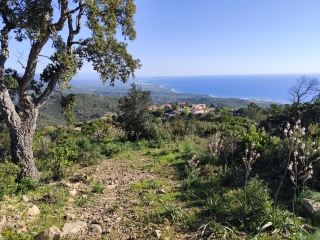 MONTE SANTU