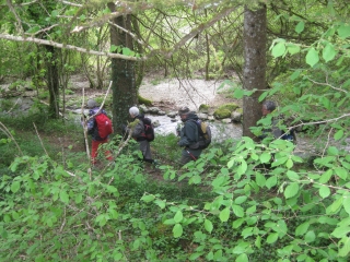 LA VALLéE DU RACCORDON-cote-dor-dijon