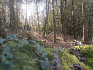 LE MAS SAINT JEAN-creuse