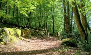 REILLAT-creuse