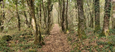 MAREUIL ROUGE-dordogne