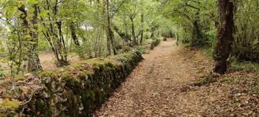 LES BOIS CHâTAINS-dordogne