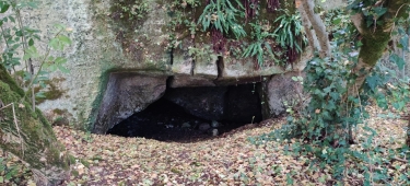 BEAUREGARD ET GRANGE DU MOREAU-dordogne