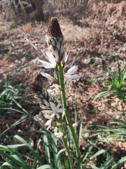 SALON - LIEUDIT-dordogne
