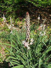 SAINT JEAN D'ESTISSAC 24-dordogne