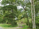 LA HOUSSAYE - LES BOIS DE GRAMMONT-eure