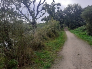 SAINT EVARZEC LE DOURMEUR-finistere