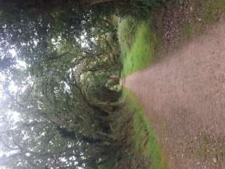 PLEUVEN AUTOUR DE LA CHAPELLE ST CADOU-finistere