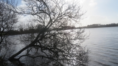 MAHALON, BALADE DE L'éTANG-finistere