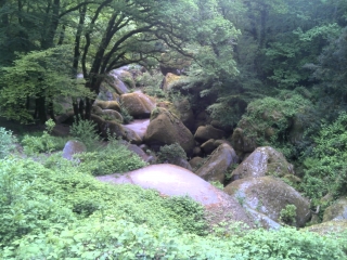 VARIANTE HUELGOAT-finistere