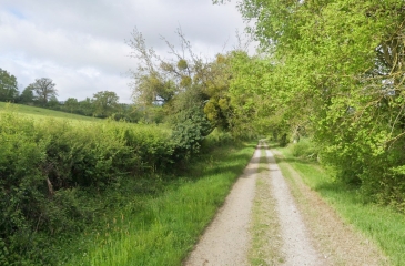 NOYANT-D'ALLIER – LE CHEMIN DE JEANNE-allier