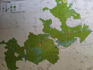 A LA DéCOUVERTE DES GRANDS CHêNES DE LA FORET DE TRONçAIS-allier
