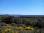 CORNILLON-gard