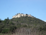 VENEJAN - LES COLLINES RHODANIENNES-gard