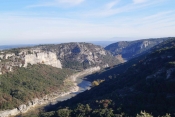 LE BOIS DES COUFINES-gard