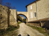LA BRUGUIERE - BOIS DE LARNAC-gard