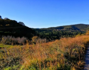 SERRE DU ROI- ROCHER DU MORGUES-gard