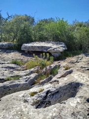 DE MEJANNES à LA TABLE DES TURCS-gard