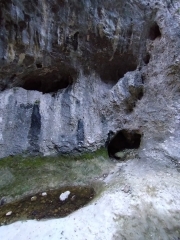 LES CONCLUSES-LA PIERRE PLANTéE-gard