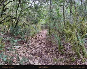 GOUDARGUES- LAC FROID-gard