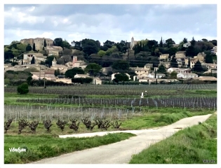 LE PETIT BOIS DE VéNéJAN GARD-gard