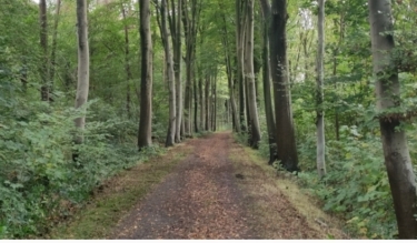 BELLEWAERDE - RENCONTRE AVEC LES CIGOGNES-BELGIQUE-belgique